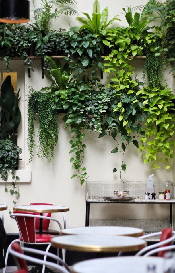 plants-on-wall-ideas-30_5 Растения на идеи за стени