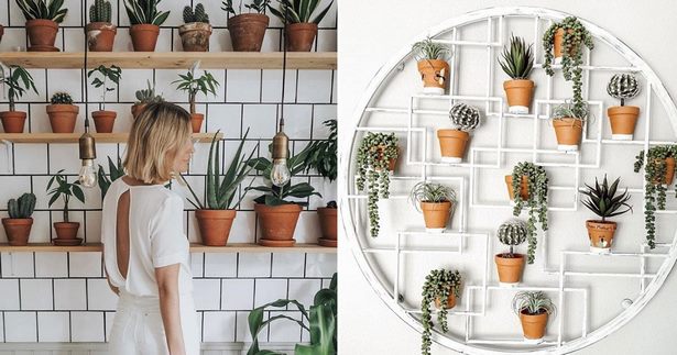 plants-on-wall-ideas-30_7 Растения на идеи за стени