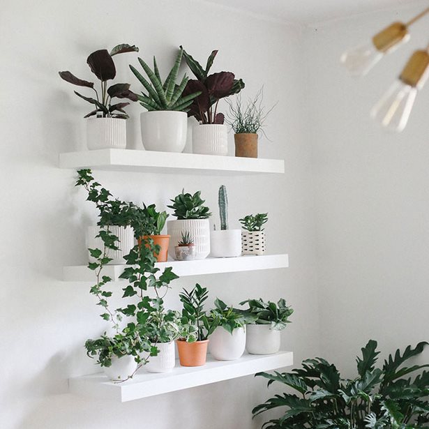 plants-on-wall-ideas-30_8 Растения на идеи за стени