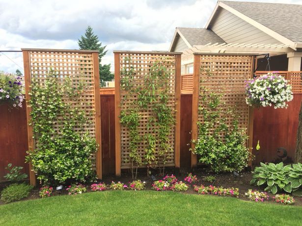 privacy-fence-landscaping-30 Поверителност ограда озеленяване