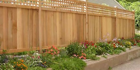 privacy-fence-landscaping-30_17 Поверителност ограда озеленяване