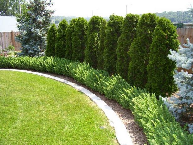 privacy-fence-landscaping-30_6 Поверителност ограда озеленяване