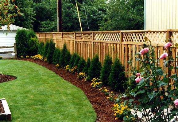 privacy-fence-landscaping-30_9 Поверителност ограда озеленяване