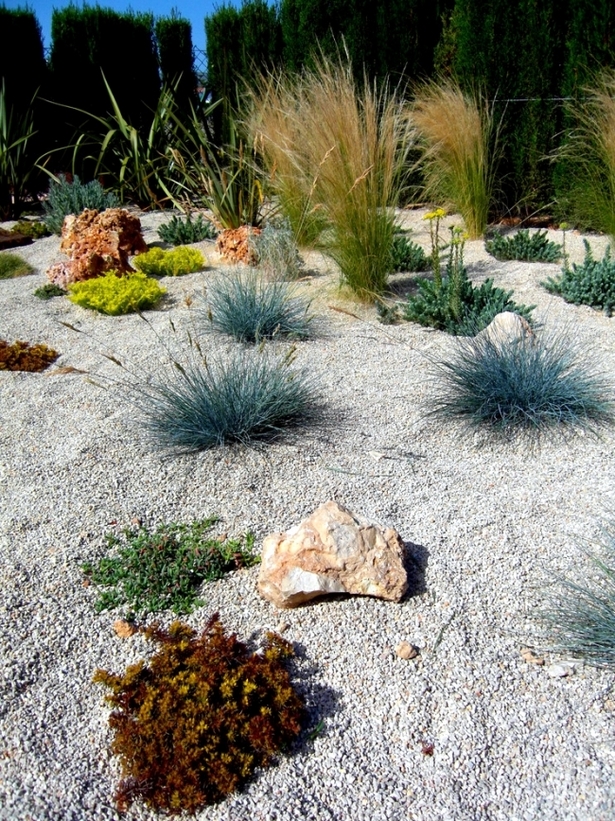 rock-garden-grasses-58 Алпинеум треви