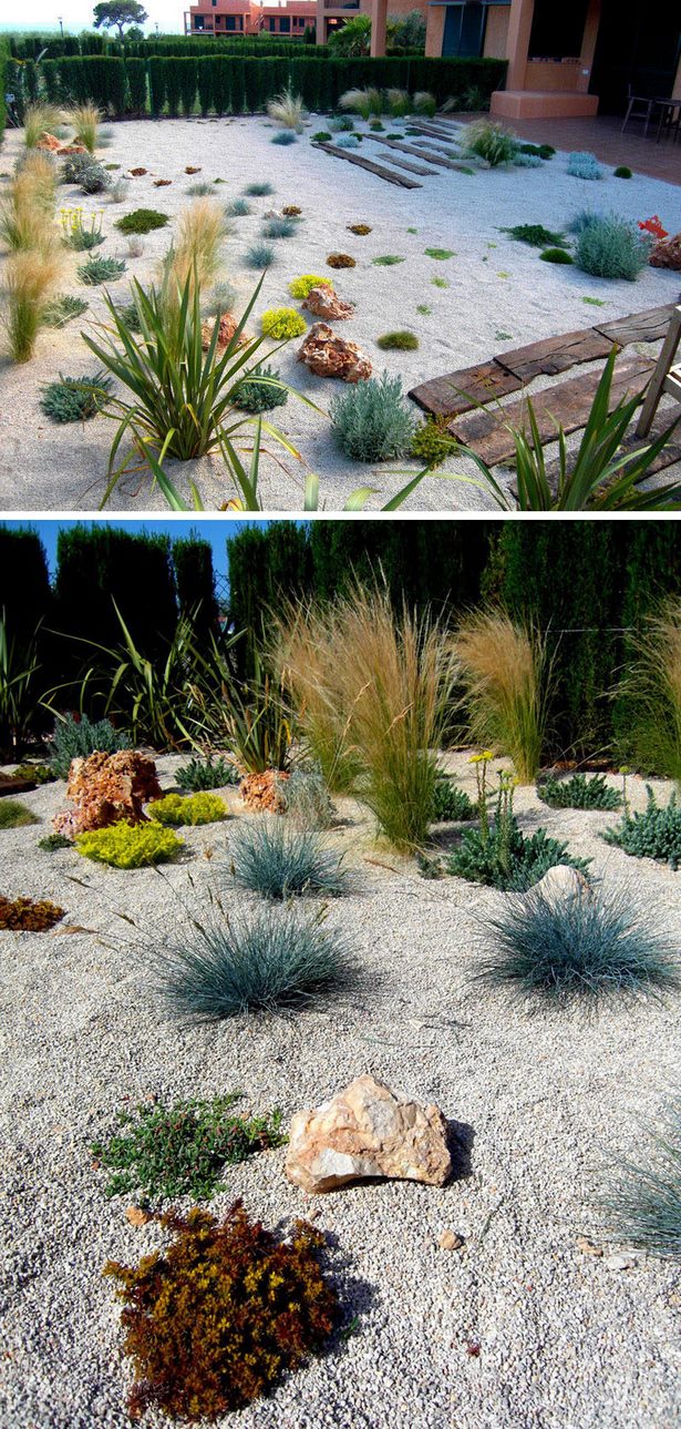 rock-garden-grasses-58_7 Алпинеум треви