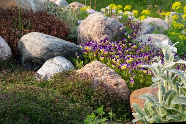 rock-garden-ideas-for-small-space-22 Идеи за алпинеуми за малко пространство