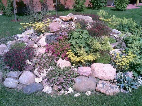 rock-garden-plant-ideas-71 Рок градина растителни идеи