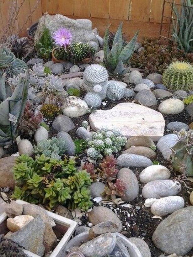 rock-garden-small-28_5 Алпинеум малка