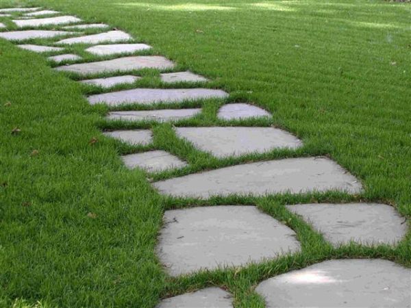 stepping-stone-garden-path-ideas-68 Стъпка каменна градинска пътека идеи