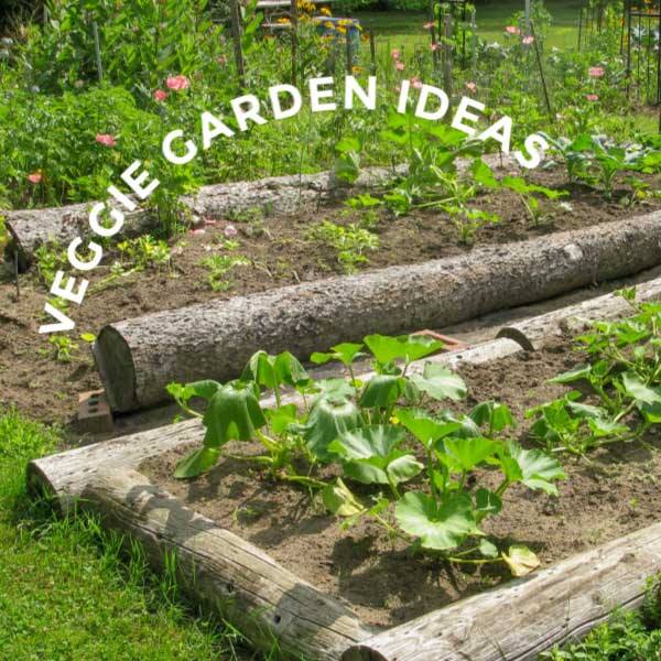vegetable-bed-edging-ideas-38_17 Зеленчукови легло кант идеи