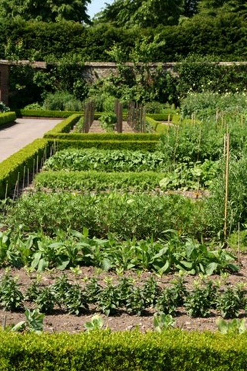 vegetable-garden-edges-and-borders-85_13 Зеленчукова градина ръбове и граници