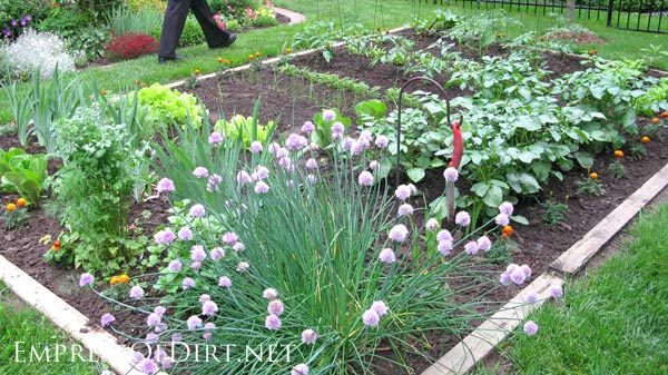 vegetable-garden-edges-and-borders-85_16 Зеленчукова градина ръбове и граници