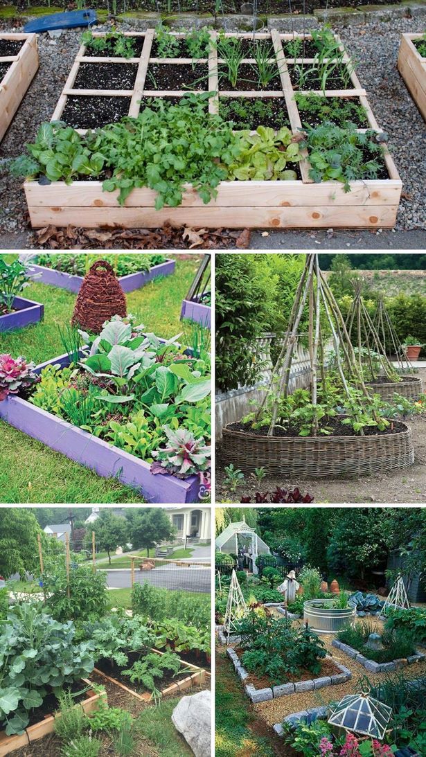 vegetable-garden-edges-and-borders-85_19 Зеленчукова градина ръбове и граници