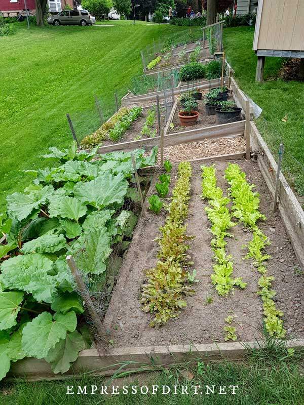 vegetable-garden-edges-and-borders-85_20 Зеленчукова градина ръбове и граници