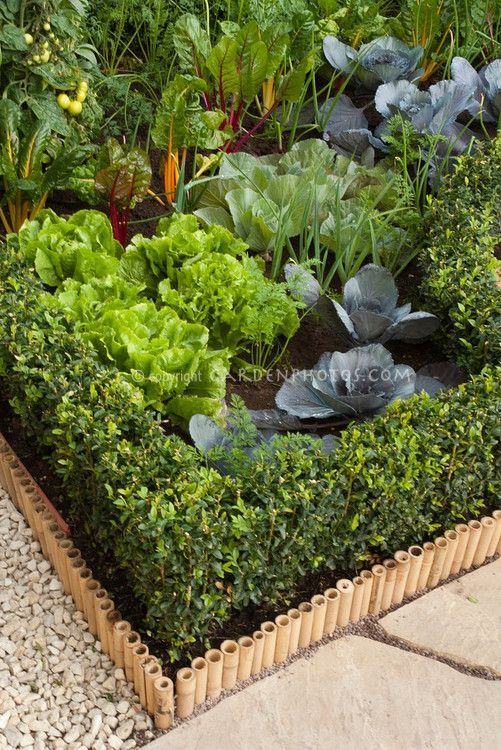 vegetable-garden-edges-and-borders-85_4 Зеленчукова градина ръбове и граници