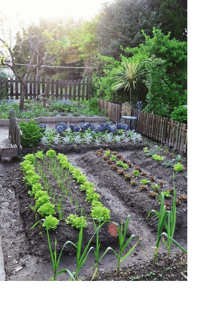 vegetable-garden-path-ideas-15 Идеи за зеленчукова градина