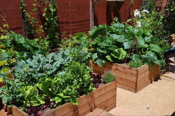 vegetable-garden-path-ideas-15_15 Идеи за зеленчукова градина