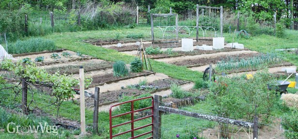 vegetable-garden-path-ideas-15_17 Идеи за зеленчукова градина