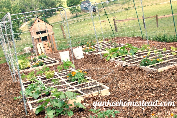vegetable-garden-path-ideas-15_6 Идеи за зеленчукова градина