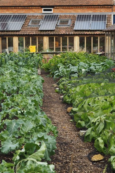 vegetable-garden-path-ideas-15_8 Идеи за зеленчукова градина