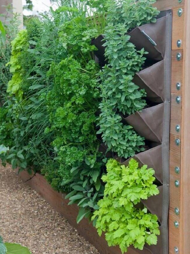 Идеи за стена за зеленчукова градина