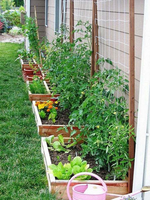 vegetable-garden-wall-ideas-49_10 Идеи за стена за зеленчукова градина