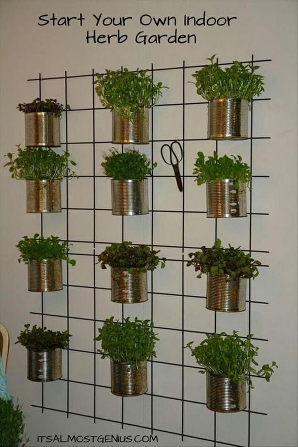 vegetable-garden-wall-ideas-49_11 Идеи за стена за зеленчукова градина