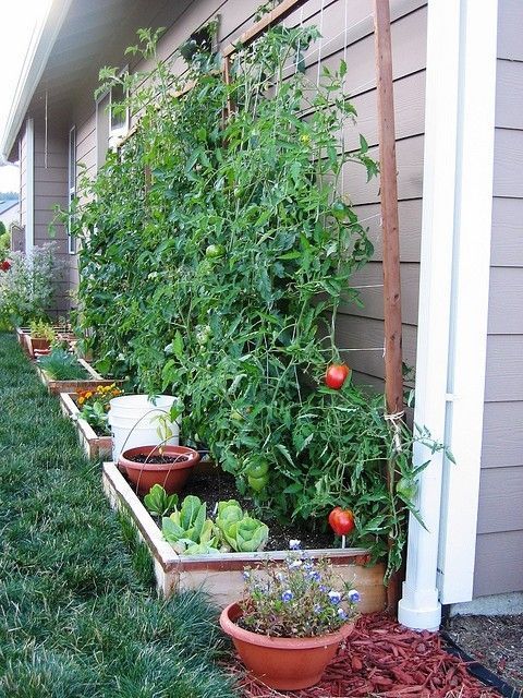 vegetable-garden-wall-ideas-49_13 Идеи за стена за зеленчукова градина