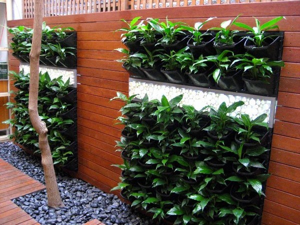 vegetable-garden-wall-ideas-49_16 Идеи за стена за зеленчукова градина