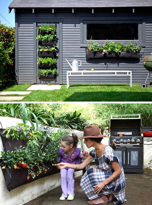 vegetable-garden-wall-ideas-49_18 Идеи за стена за зеленчукова градина