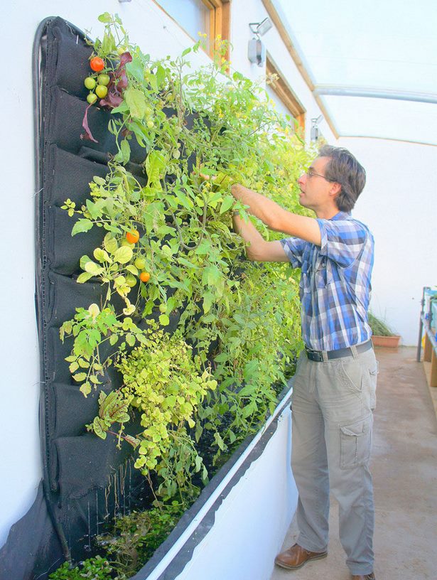 vegetable-garden-wall-ideas-49_19 Идеи за стена за зеленчукова градина