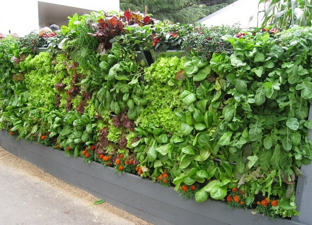 vegetable-garden-wall-ideas-49_20 Идеи за стена за зеленчукова градина