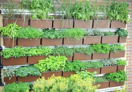 vegetable-garden-wall-ideas-49_3 Идеи за стена за зеленчукова градина