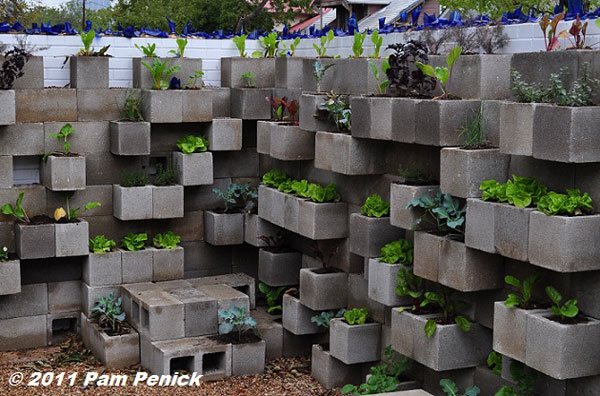 vegetable-garden-wall-ideas-49_8 Идеи за стена за зеленчукова градина