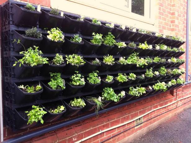 vegetable-garden-wall-ideas-49_9 Идеи за стена за зеленчукова градина