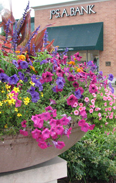 annual-flower-planter-ideas-53 Годишен цвете плантатор идеи