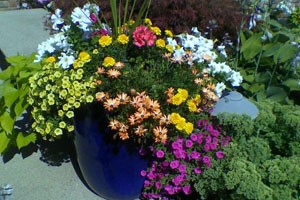 annual-flower-planter-ideas-53_17 Годишен цвете плантатор идеи