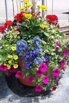 annual-flower-planter-ideas-53_2 Годишен цвете плантатор идеи