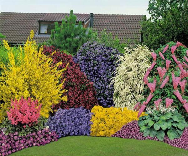 backyard-flower-garden-design-19_5 Дизайн на цветна градина в задния двор