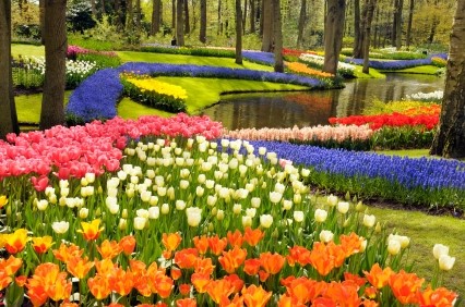Красива цветна градина