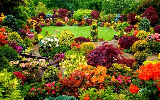 beautiful-flower-garden-54_11 Красива цветна градина