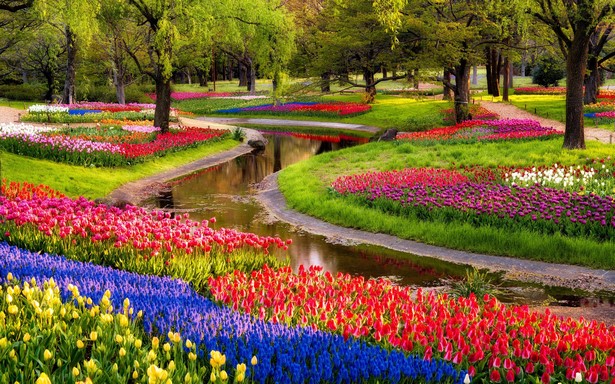 beautiful-flower-garden-54_6 Красива цветна градина