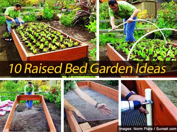bed-gardens-ideas-72_11 Легло градини идеи
