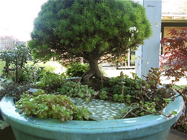 bonsai-fairy-garden-87_3 Бонсай фея градина