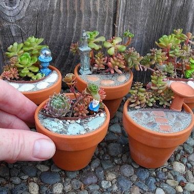 childrens-miniature-garden-ideas-67_14 Детски миниатюрни градински идеи