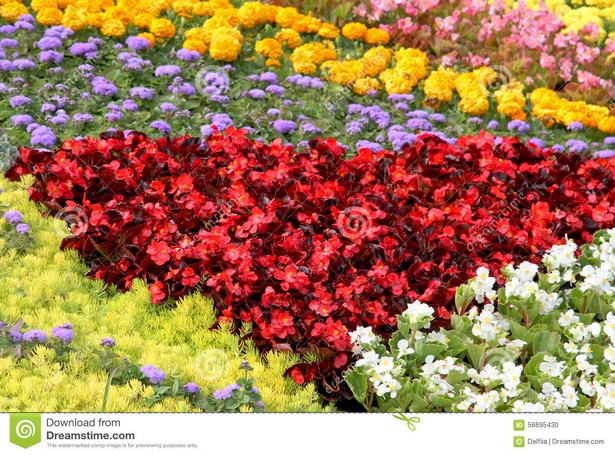decorative-flower-beds-07_15 Декоративни цветни лехи