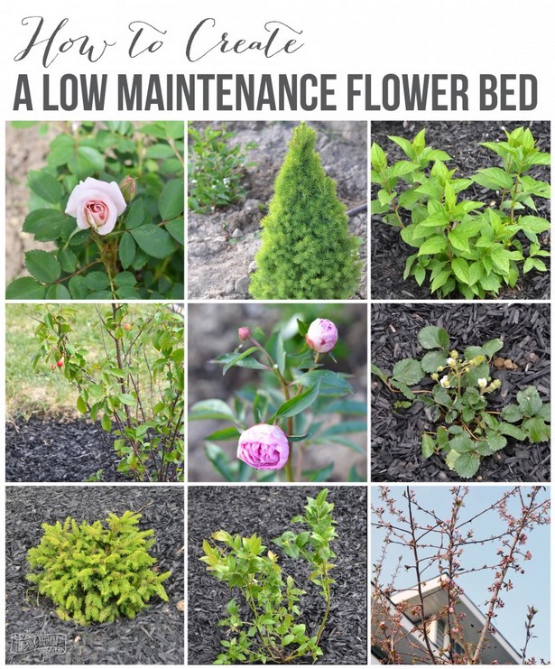 easy-maintenance-flower-beds-91_4 Лесна поддръжка цветни лехи