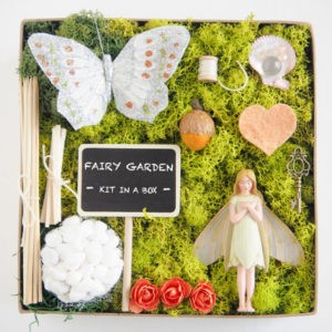 fairy-garden-in-a-box-50 Приказна градина в кутия