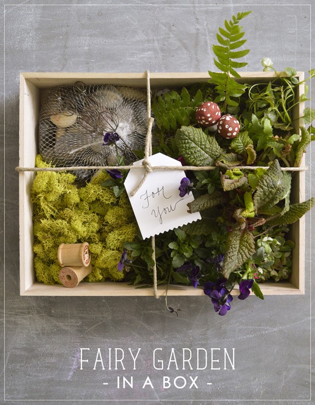 fairy-garden-in-a-box-50_17 Приказна градина в кутия