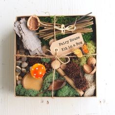 fairy-garden-in-a-box-50_5 Приказна градина в кутия